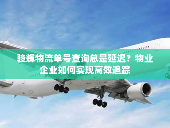 骏辉物流单号查询总是延迟？物业企业如何实现高效追踪
