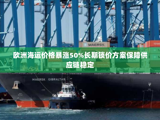 欧洲海运价格暴涨50%长期锁价方案保障供应链稳定 欧洲海运价格暴涨50%长期锁价方案保障供应链稳定