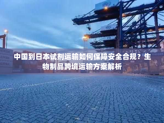 中国到日本试剂运输如何保障安全合规？生物制品跨境运输方案解析