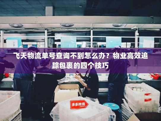 飞天物流单号查询不到怎么办?物业高效追踪包裹的四个技巧 飞天物流单号查询不到怎么办?物业高效追踪包裹的四个技巧