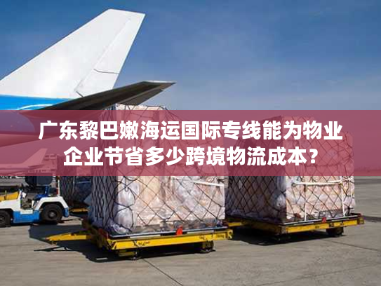 广东黎巴嫩海运国际专线能为物业企业节省多少跨境物流成本？