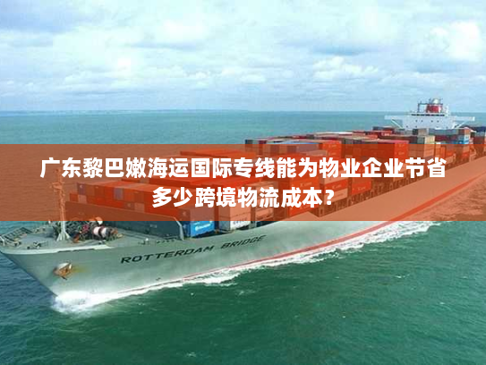 广东黎巴嫩海运国际专线能为物业企业节省多少跨境物流成本? 广东黎巴嫩海运国际专线能为物业企业节省多少跨境物流成本?