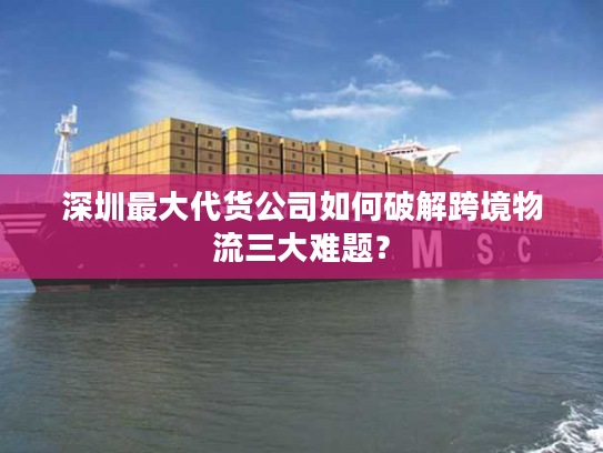 深圳最大代货公司如何破解跨境物流三大难题？