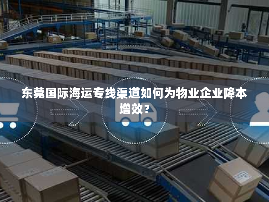 东莞国际海运专线渠道如何为物业企业降本增效? 东莞国际海运专线渠道如何为物业企业降本增效?