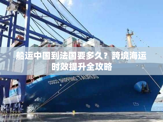 船运中国到法国要多久？跨境海运时效提升全攻略