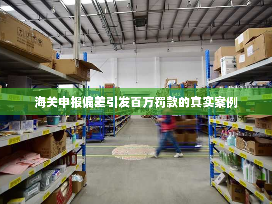 海关申报偏差引发百万罚款的真实案例 海关申报偏差引发百万罚款的真实案例