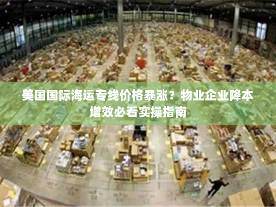 美国国际海运专线价格暴涨?物业企业降本增效必看实操指南 美国国际海运专线价格暴涨?物业企业降本增效必看实操指南