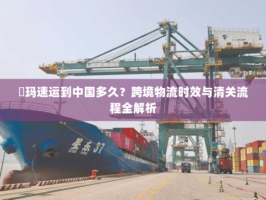玥玛速运到中国多久?跨境物流时效与清关流程全解析 玥玛速运到中国多久?跨境物流时效与清关流程全解析