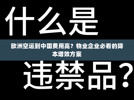 欧洲空运到中国费用高?物业企业必看的降本增效方案 欧洲空运到中国费用高?物业企业必看的降本增效方案