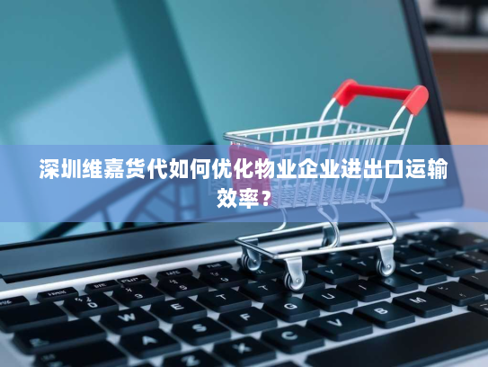 深圳维嘉货代如何优化物业企业进出口运输效率？