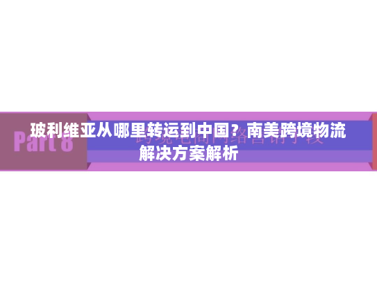 玻利维亚从哪里转运到中国?南美跨境物流解决方案解析 玻利维亚从哪里转运到中国?南美跨境物流解决方案解析