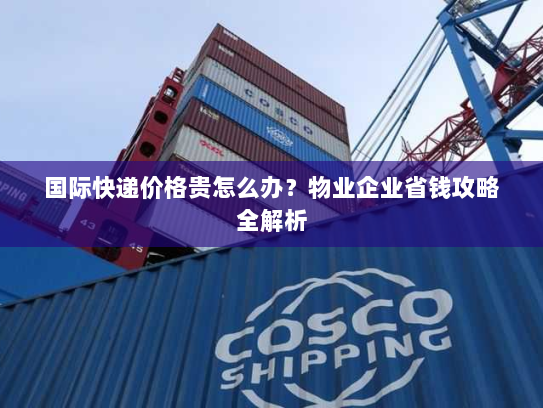 国际快递价格贵怎么办?物业企业省钱攻略全解析 国际快递价格贵怎么办?物业企业省钱攻略全解析