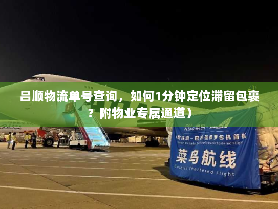 吕顺物流单号查询,如何1分钟定位滞留包裹?附物业专属通道) 吕顺物流单号查询,如何1分钟定位滞留包裹?附物业专属通道)