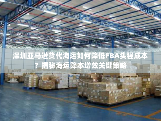 深圳亚马逊货代海运如何降低FBA头程成本?揭秘海运降本增效关键策略 深圳亚马逊货代海运如何降低FBA头程成本?揭秘海运降本增效关键策略