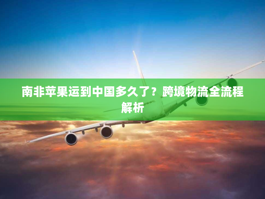 南非苹果运到中国多久了?跨境物流全流程解析 南非苹果运到中国多久了?跨境物流全流程解析