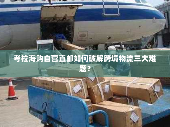 考拉海购自营直邮如何破解跨境物流三大难题? 考拉海购自营直邮如何破解跨境物流三大难题?