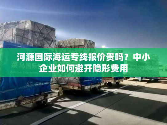 河源国际海运专线报价贵吗？中小企业如何避开隐形费用