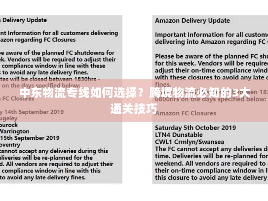 中东物流专线如何选择？跨境物流必知的3大通关技巧