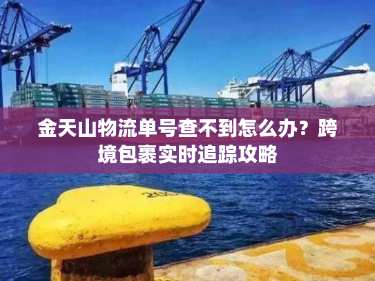 金天山物流单号查不到怎么办?跨境包裹实时追踪攻略 金天山物流单号查不到怎么办?跨境包裹实时追踪攻略