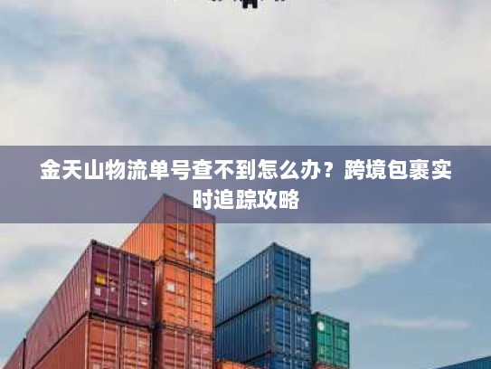 金天山物流单号查不到怎么办?跨境包裹实时追踪攻略 金天山物流单号查不到怎么办?跨境包裹实时追踪攻略
