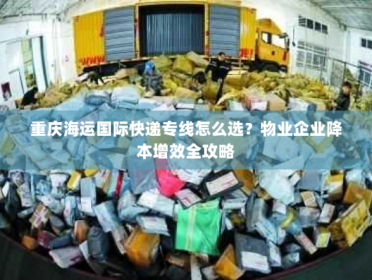 重庆海运国际快递专线怎么选?物业企业降本增效全攻略 重庆海运国际快递专线怎么选?物业企业降本增效全攻略