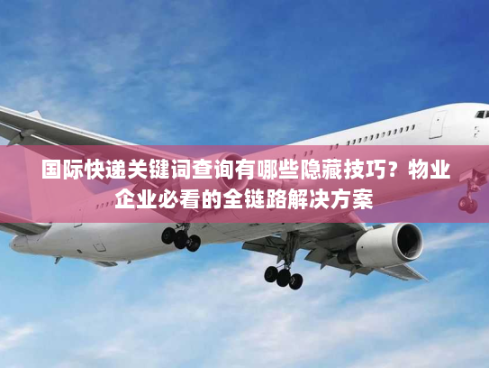 国际快递关键词查询有哪些隐藏技巧?物业企业必看的全链路解决方案 国际快递关键词查询有哪些隐藏技巧?物业企业必看的全链路解决方案