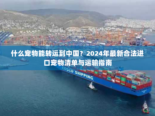 什么宠物能转运到中国?2024年最新合法进口宠物清单与运输指南 什么宠物能转运到中国?2024年最新合法进口宠物清单与运输指南