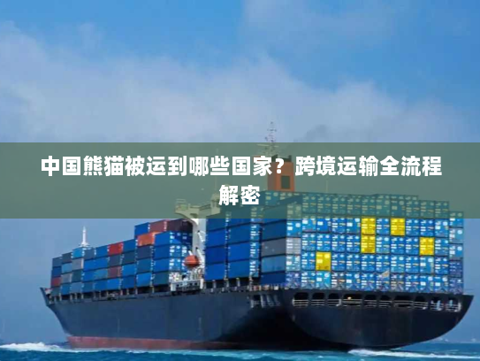 中国熊猫被运到哪些国家？跨境运输全流程解密