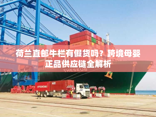 荷兰直邮牛栏有假货吗？跨境母婴正品供应链全解析