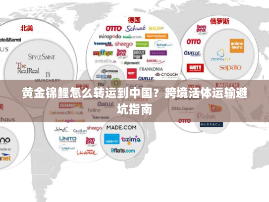 黄金锦鲤怎么转运到中国?跨境活体运输避坑指南 黄金锦鲤怎么转运到中国?跨境活体运输避坑指南