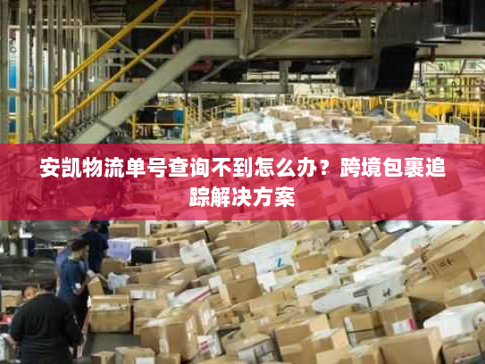 安凯物流单号查询不到怎么办？跨境包裹追踪解决方案
