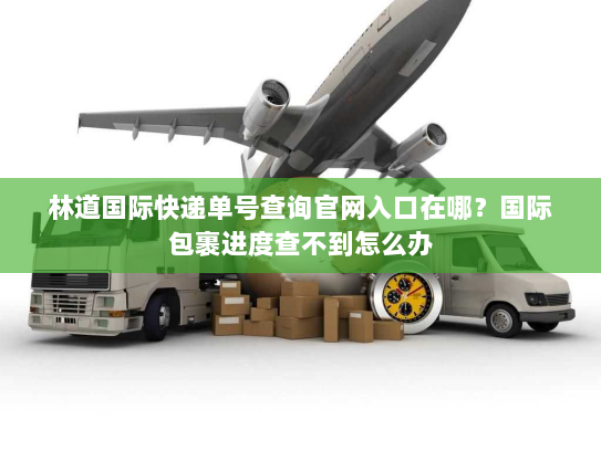 林道国际快递单号查询官网入口在哪？国际包裹进度查不到怎么办