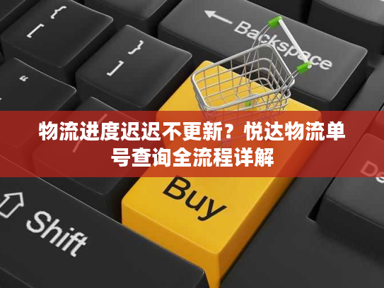 物流进度迟迟不更新？悦达物流单号查询全流程详解