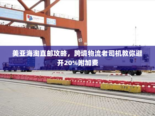 美亚海淘直邮攻略，跨境物流老司机教你避开20%附加费