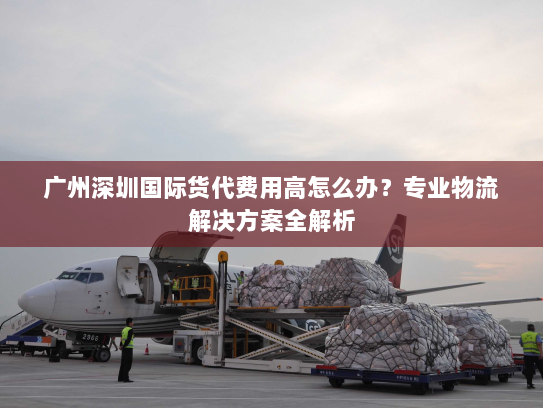 广州深圳国际货代费用高怎么办?专业物流解决方案全解析 广州深圳国际货代费用高怎么办?专业物流解决方案全解析