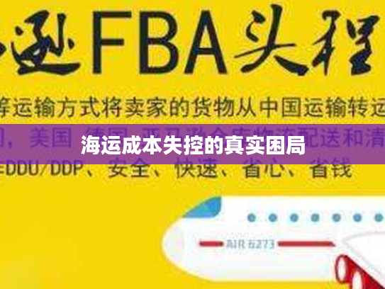 海运成本失控的真实困局