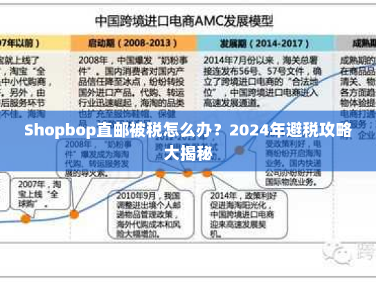 Shopbop直邮被税怎么办?2024年避税攻略大揭秘 Shopbop直邮被税怎么办?2024年避税攻略大揭秘