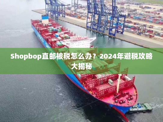 Shopbop直邮被税怎么办?2024年避税攻略大揭秘 Shopbop直邮被税怎么办?2024年避税攻略大揭秘