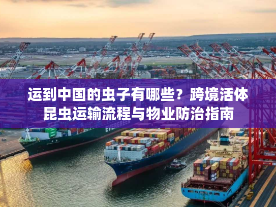 运到中国的虫子有哪些？跨境活体昆虫运输流程与物业防治指南