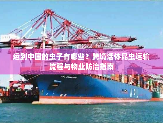 运到中国的虫子有哪些？跨境活体昆虫运输流程与物业防治指南