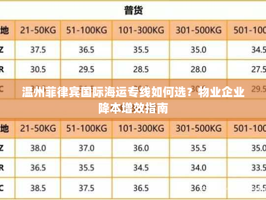 温州菲律宾国际海运专线如何选?物业企业降本增效指南 温州菲律宾国际海运专线如何选?物业企业降本增效指南