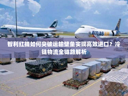 智利红提如何突破运输壁垒实现高效进口?冷链物流全链路解析 智利红提如何突破运输壁垒实现高效进口?冷链物流全链路解析