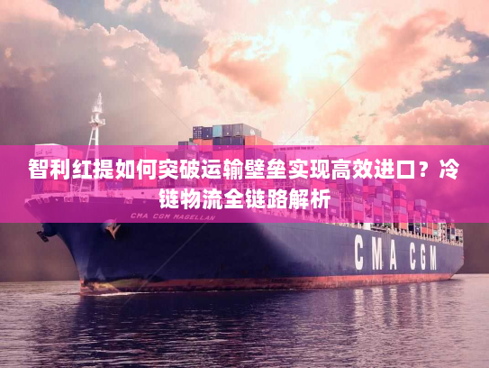 智利红提如何突破运输壁垒实现高效进口?冷链物流全链路解析 智利红提如何突破运输壁垒实现高效进口?冷链物流全链路解析
