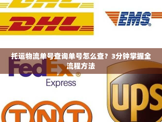 托运物流单号查询单号怎么查?3分钟掌握全流程方法 托运物流单号查询单号怎么查?3分钟掌握全流程方法