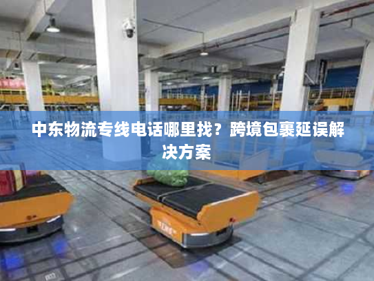 中东物流专线电话哪里找?跨境包裹延误解决方案 中东物流专线电话哪里找?跨境包裹延误解决方案