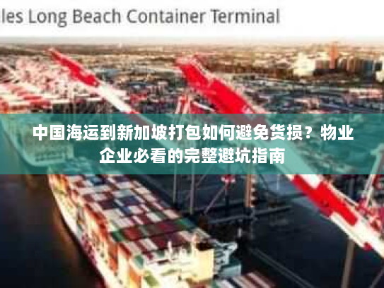 中国海运到新加坡打包如何避免货损？物业企业必看的完整避坑指南