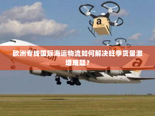 欧洲专线国际海运物流如何解决旺季货量激增难题？