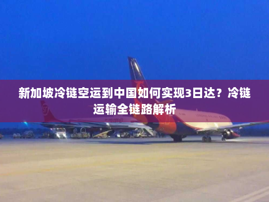 新加坡冷链空运到中国如何实现3日达?冷链运输全链路解析 新加坡冷链空运到中国如何实现3日达?冷链运输全链路解析