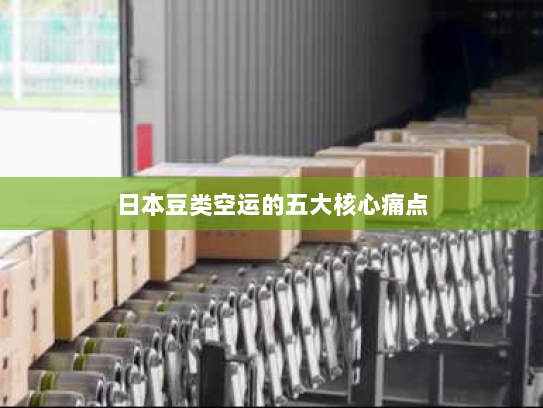 日本豆类空运的五大核心痛点