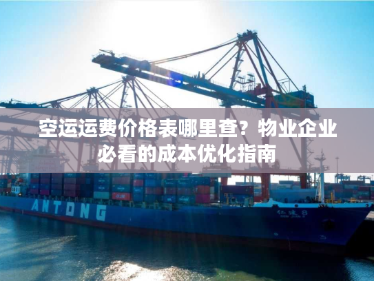 空运运费价格表哪里查?物业企业必看的成本优化指南 空运运费价格表哪里查?物业企业必看的成本优化指南